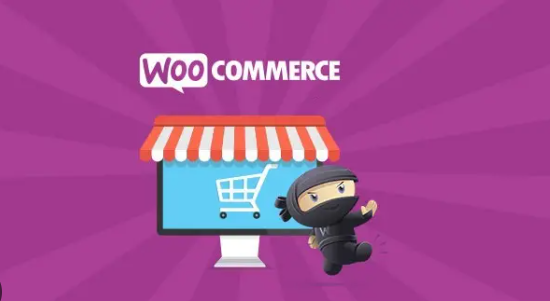 WooCommerce PayPal Advanced v1.24.12 - 高级PayPal支付网关插件