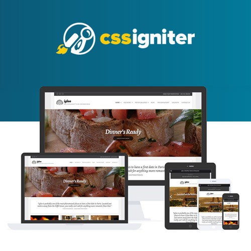 Igloo CSSIgniter Themes v1.9.1 - 响应式WordPress主题，适用于博客和商业网站