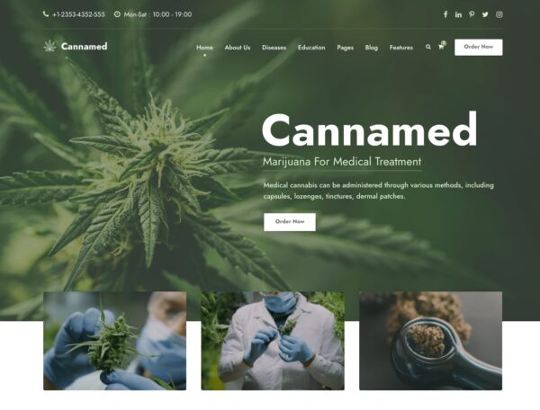 Cannamed v1.0.5 大麻和医用大麻 WordPress 主题