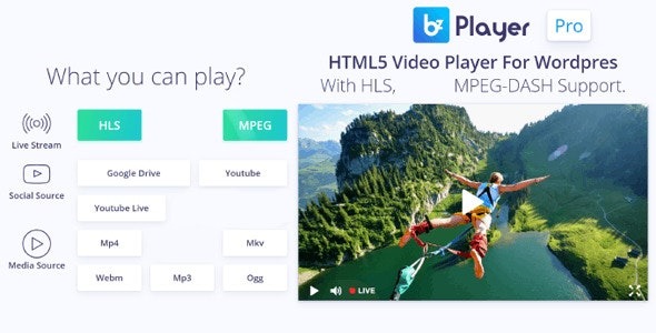 bzplayer Pro v2.1 Live Streaming Player WordPress插件 - 专业直播播放器插件