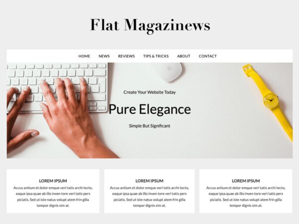 FlatMagazinews (v117.6) Superb Themes - 现代杂志风格WordPress主题