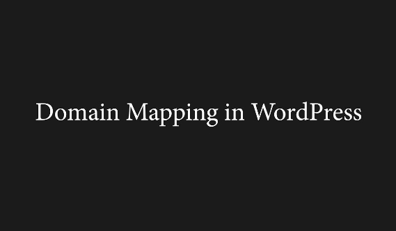 Domain Mapping System PRO v1.9.1 - 专业域名映射系统