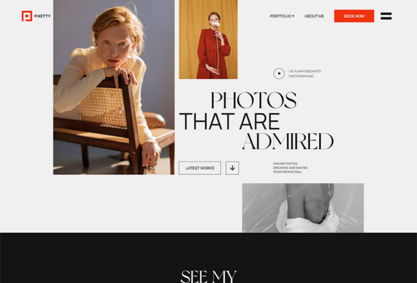 MotoPress Pixetty (v1.1.3) 强大的WordPress摄影主题