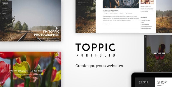 TopPic (v4.3.3) 摄影作品集主题 - 专业摄影展示WordPress主题