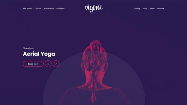 Cssigniter Vigour WP Theme v1.1.0 - 响应式多功能WordPress主题