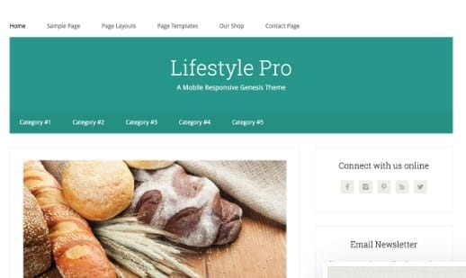 StudioPress Lifestyle Pro (v2.0) Genesis WordPress主题 - 现代生活方式博客与杂志设计