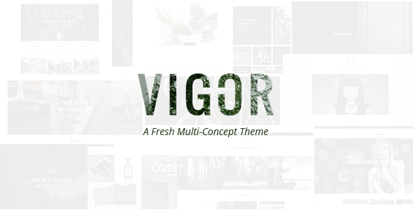Vigor (v3.3) Vintage WordPress Theme - 复古多概念主题