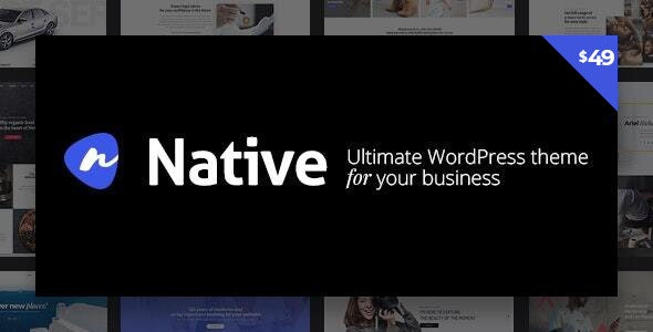 Native (v1.6.99) 时尚多功能创意WordPress主题 - 强大的创业开发工具