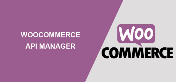 WooCommerce API Manager v3.4.2 - 强大的WooCommerce API管理插件