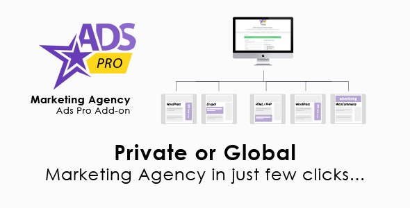 ADS PRO v1.9.9 WordPress营销机构插件 - 专业广告管理与营销工具