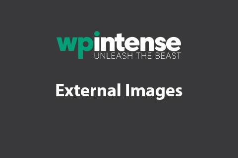 WPI External Images v3.27 - 高效管理WordPress外部图片插件