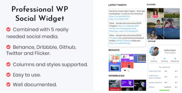 Professional WP Social Widget Plugin v.1.2 - 专业WordPress社交小工具插件