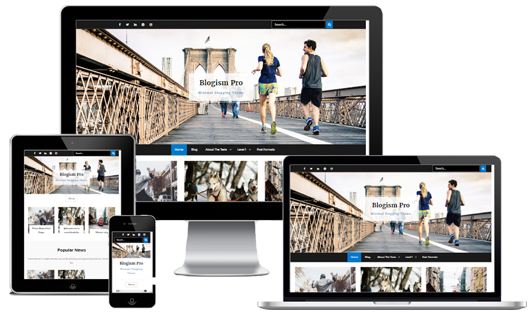 Blogism Pro v2.3.1 - 专业博客WordPress主题