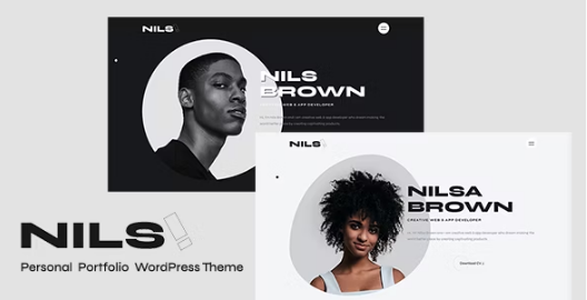 Nils v1.0 个人作品集WordPress主题 - 专业展示您的创意作品