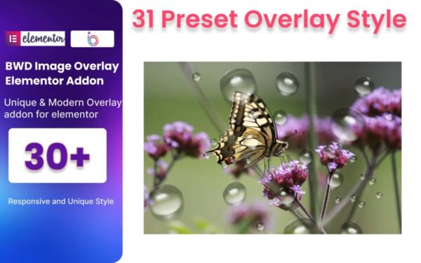 Image Overlay For Elementor v1.0 - Elementor图像叠加插件