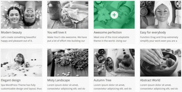 AIT Spa v2.0.6 WordPress主题 - 专业水疗与健康中心网站模板