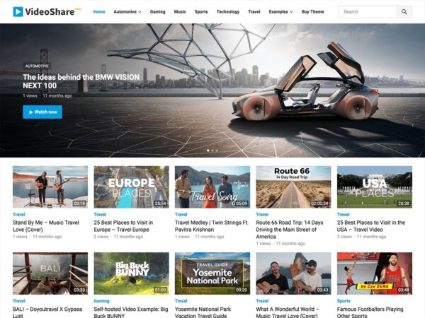 VideoShare Pro (v1.0.6) WPEnjoy Theme - 专业WordPress视频分享主题