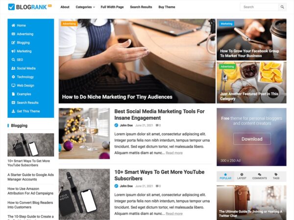 BlogRank Pro v1.0.3 - 专业博客排名优化WordPress主题