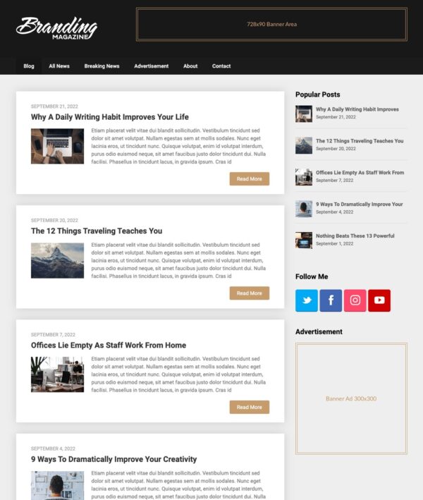 Publishable Mag v220.2 - 响应式新闻杂志WordPress主题