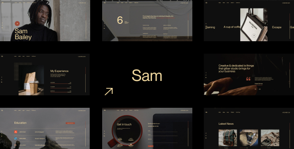 Sam Bailey (v1.1.0) 个人简历WordPress主题