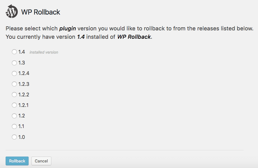 了解更多关于WordPress自动更新的信息