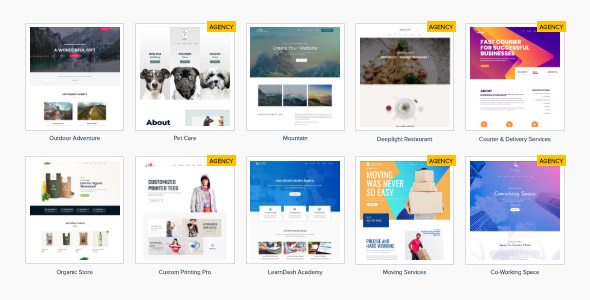 Astra Premium Sites 3.1.18 开心版