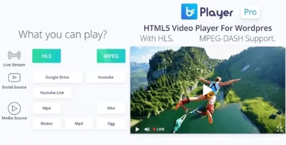 Bzplayer Pro 2.1 – 直播播放器WordPress插件