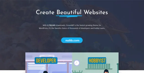 OceanWP 3.0.7 – 多用途可定制轻量级WordPress主题