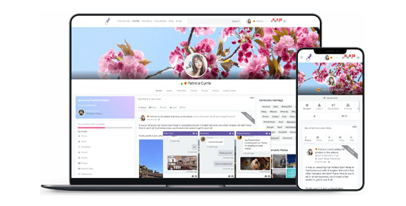 PeepSo 3.9.1.0 开心版 (Ultimate Bundle) – WordPress的社交网络插件