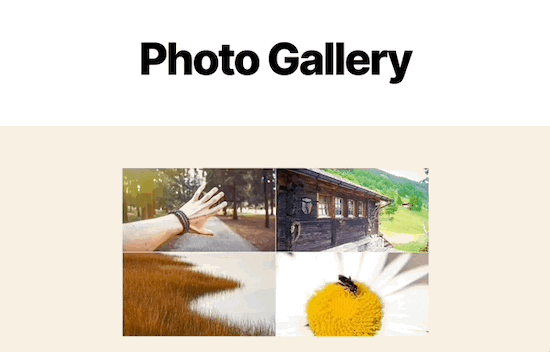 如何取消WordPress大图的自动缩放功能