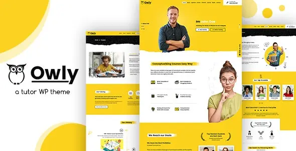 Owly 2.4 – 导师培训教育课程网站WordPress主题