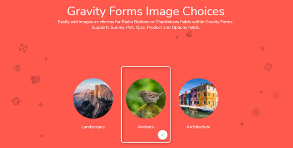 Gravity Forms Image Choices 1.3.60