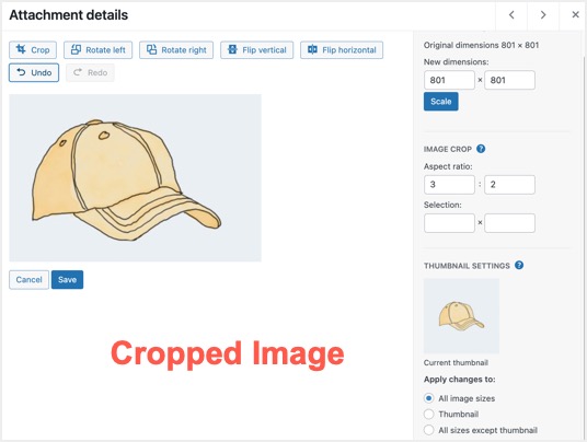 如何在WordPress中裁剪图片和调整图片大小？