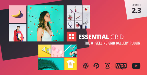 Essential Grid 3.0.16 – Gallery WordPress插件