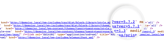 如何正确删除WordPress版本号