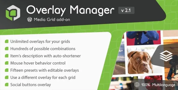 Media Grid Overlay Manager Add-on v2.2.0 – 媒体网格覆盖管理插件