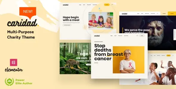 Caridad 6.6 开心版 – 慈善WordPress