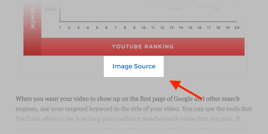 原始研究和数据分析