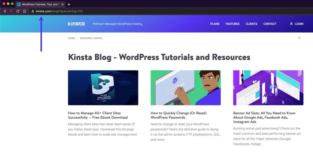 PHP Worker是什么，应该如何使用？