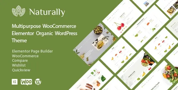 Naturally 1.3.6 – 天然有机食品商店网站Wordpress主题