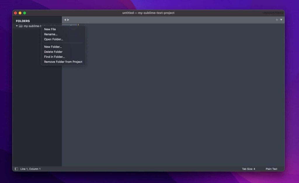 学习如何使用崇高的文本:快速概述