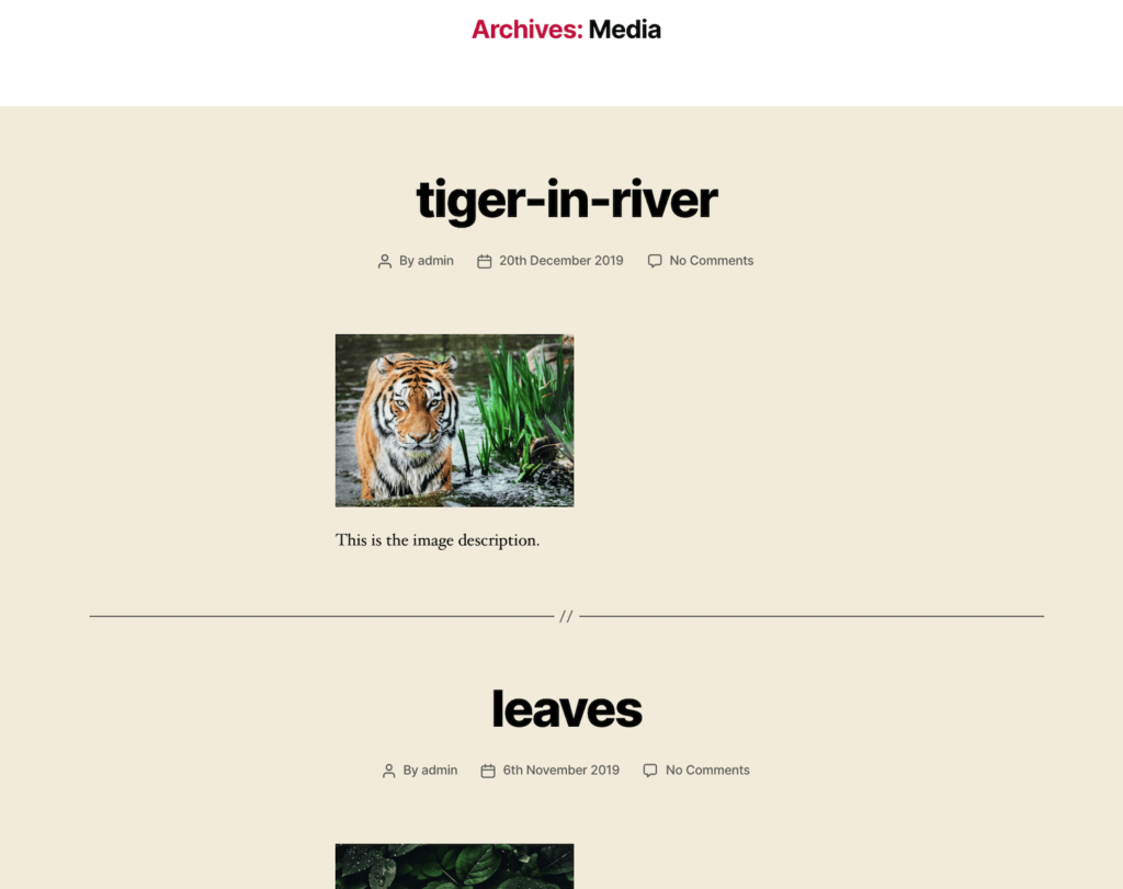 WordPress媒体库的完整指南和提示