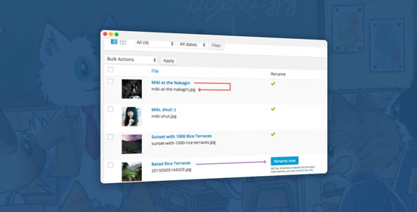 Media File Renamer Pro 5.4.9 开心版 – WordPress插件