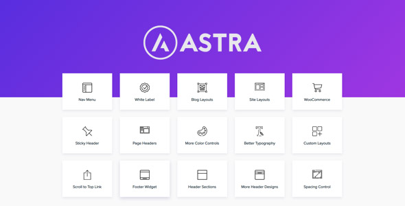 Astra Pro 3.9.3 开心版 – 使用Pro插件扩展Astra主题