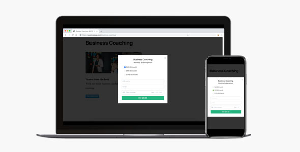WP Simple Pay Pro 4.4.3 开心版 – WordPress的条纹支付插件