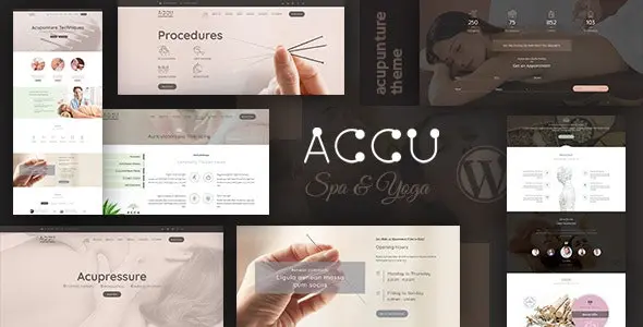 Accu 3.1 – 医疗保健按摩网站WordPress主题