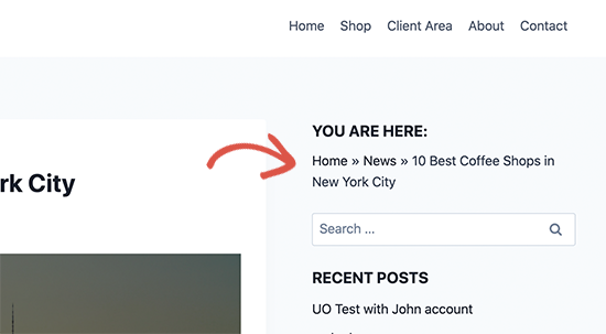 如何设置导航菜单来显示WordPress面包屑