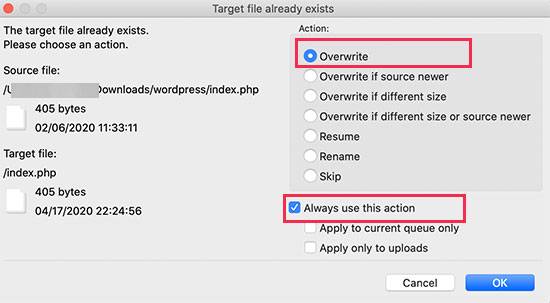 如何解决WordPress提示“你的网站有严重错误”
