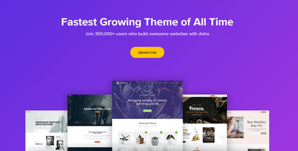 Astra Theme 4.0.2 开心版 – 可自定义的WordPress主题