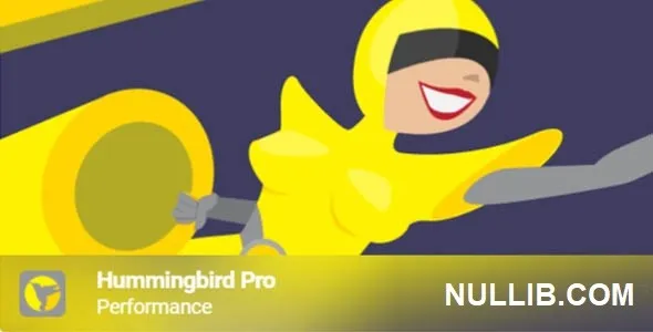 Hummingbird Pro 3.3.7 开心版 – WordPress性能插件